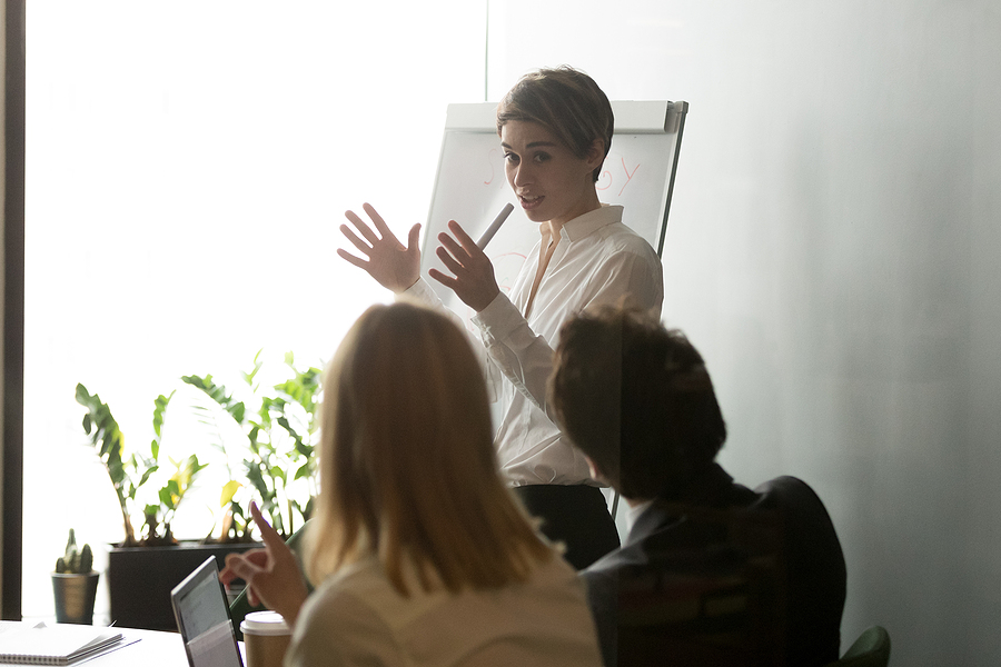 Businesswoman Explaining Company Business Strategy To Colleagues